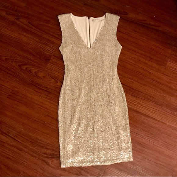 Alice + Olivia Dresses & Skirts - Alice + Olivia Beaded Sequin A-Line Dress